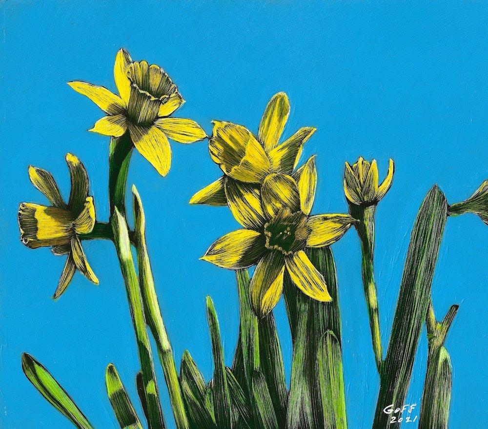    Daffodils  , 8” x”10 ", scratchboard engraving, acrylic ink, acrylic paint 