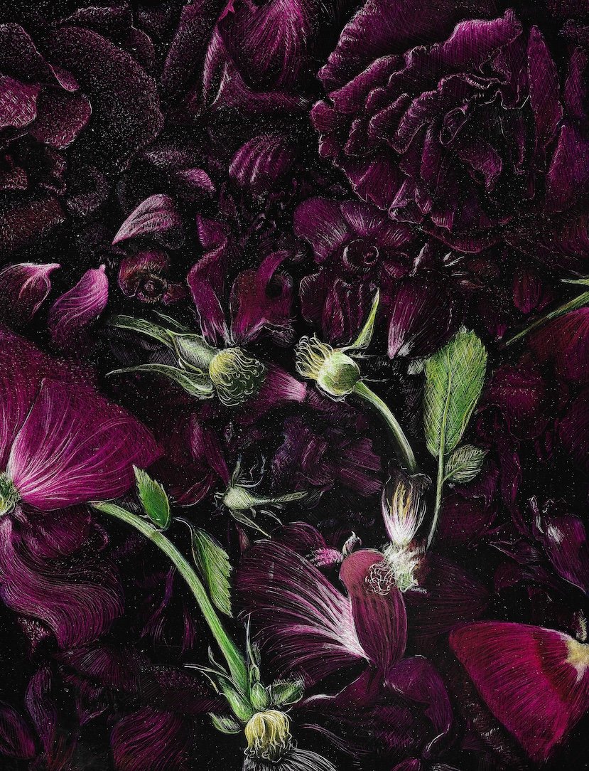    Rose Petals  , 8” x 10", scratchboard engraving tinted with acrylic ink 