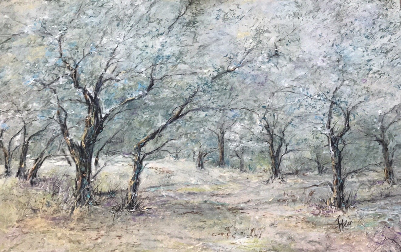    Vincent’s Olive Trees #2  , 12" x 18", oil pastel 