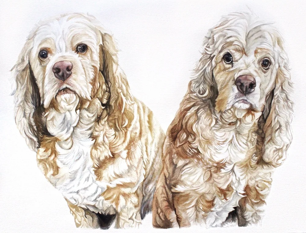    Hendrix &amp; Callie   ,  18” x 24”, watercolor on cotton paper 