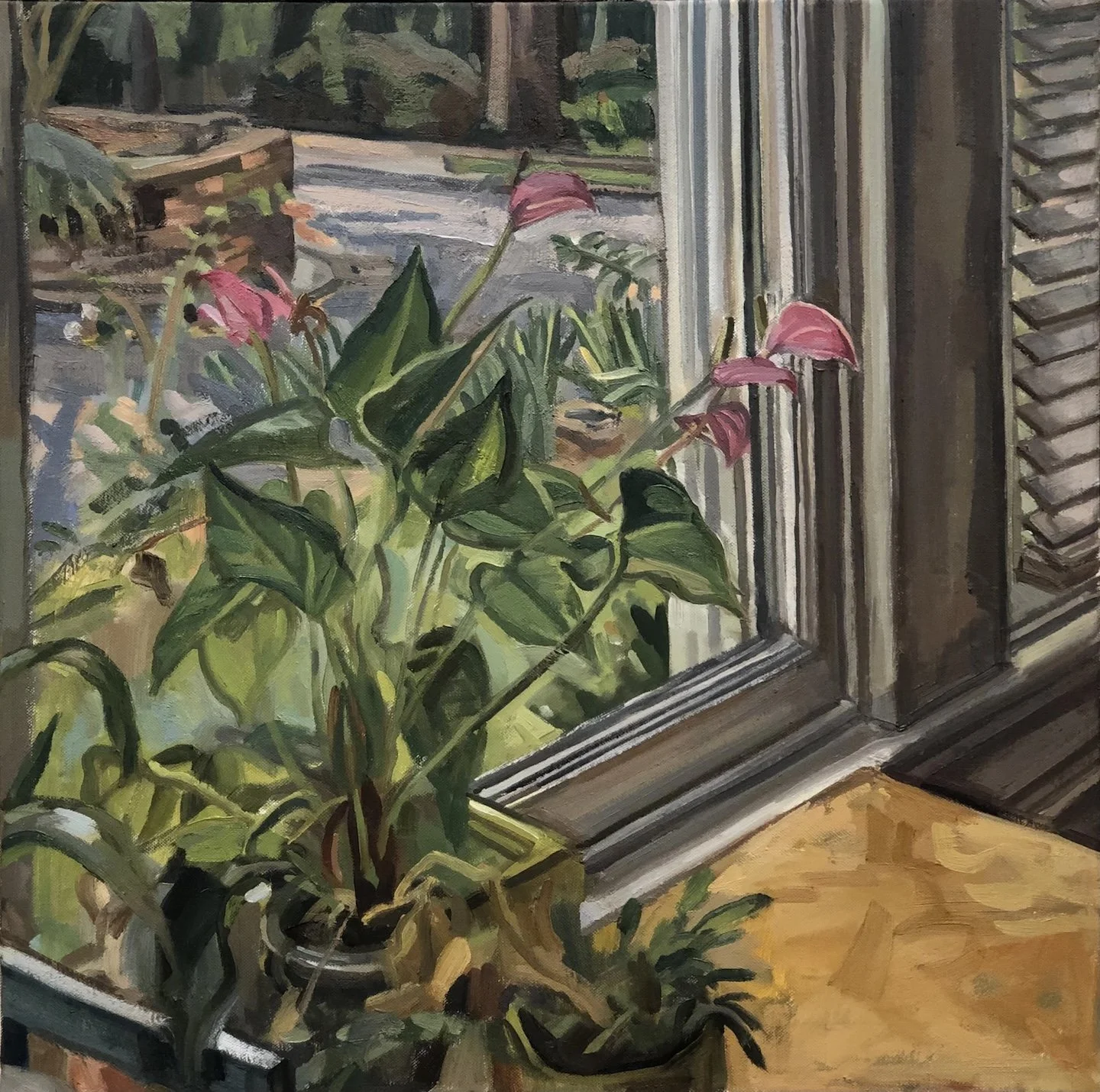 Anthurium , 24” x 24”, oil on canvas