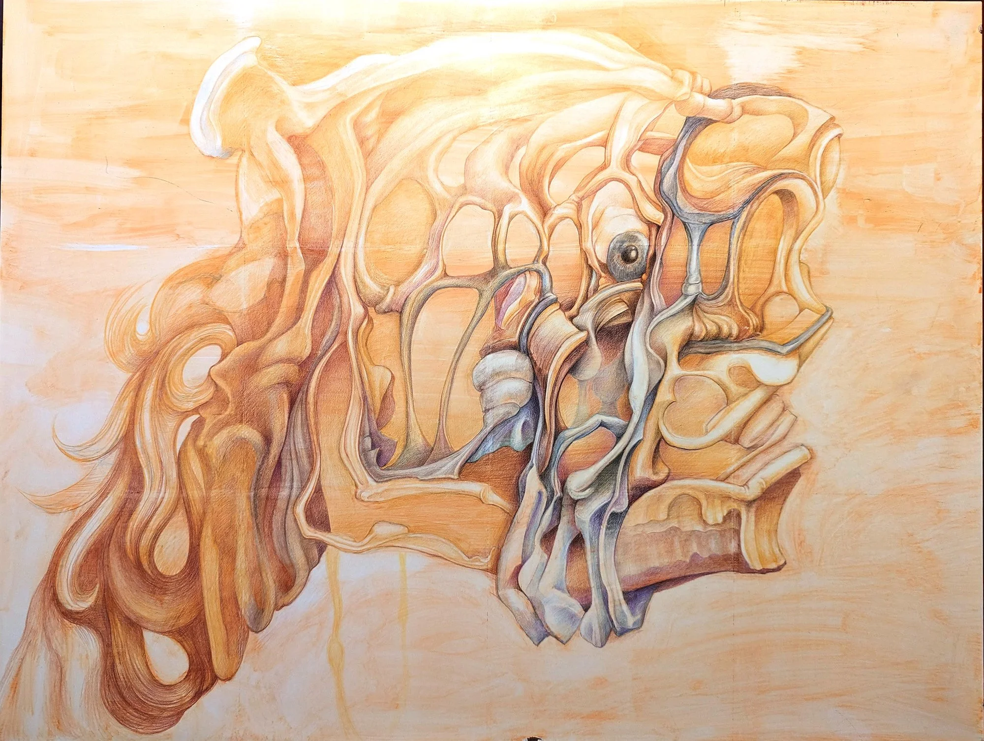    Specimen: Facillary,   18” x 24”, watercolor and color pencils on Claybord 