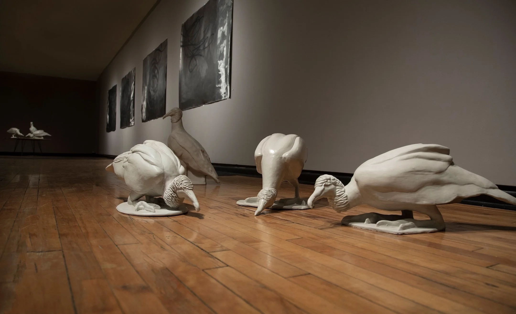    Visible / Invisible Installation with Vulture Committee  , graphite on paper, porcelain&nbsp; 