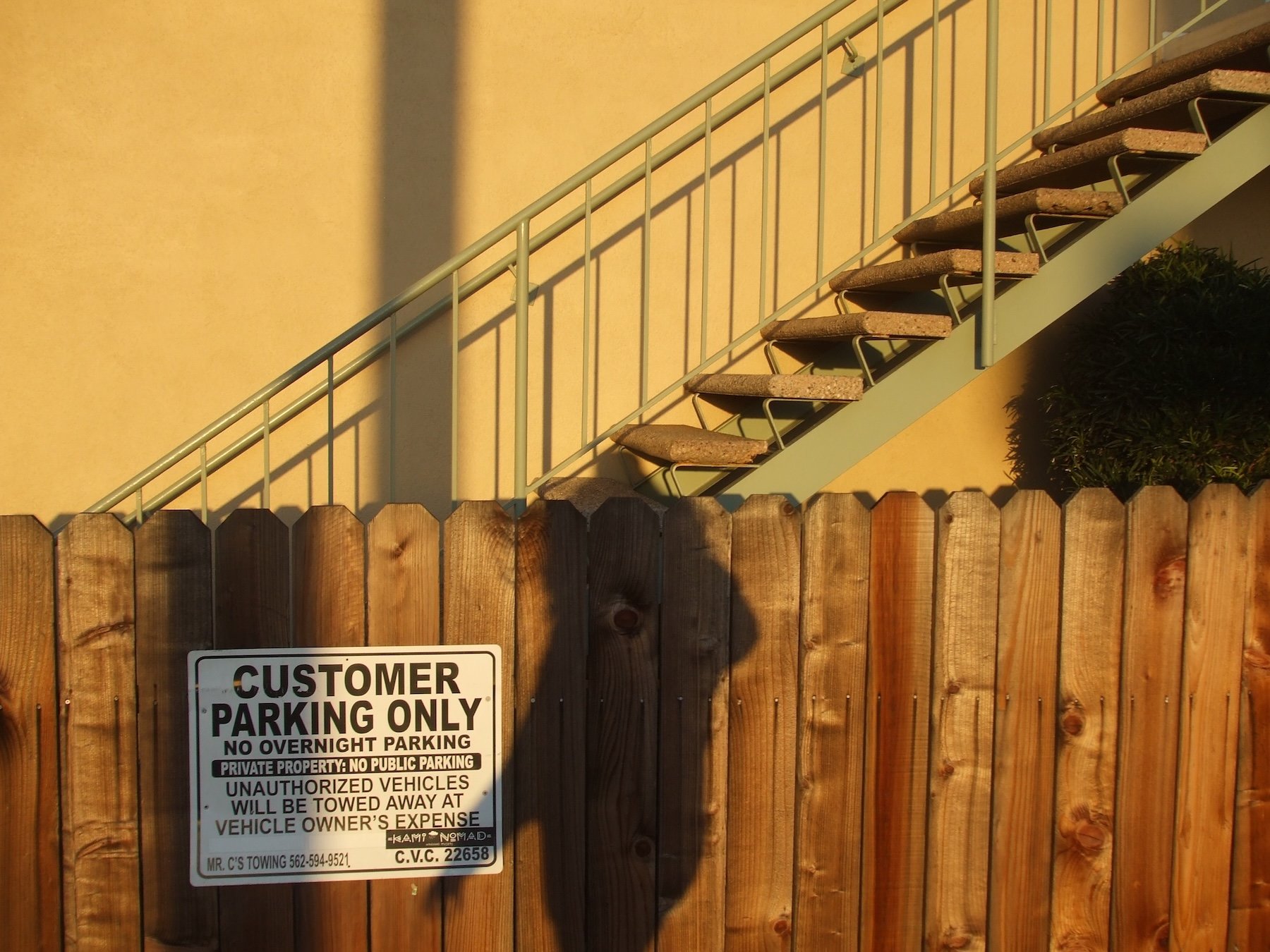    Self-portrait 1  , photography 