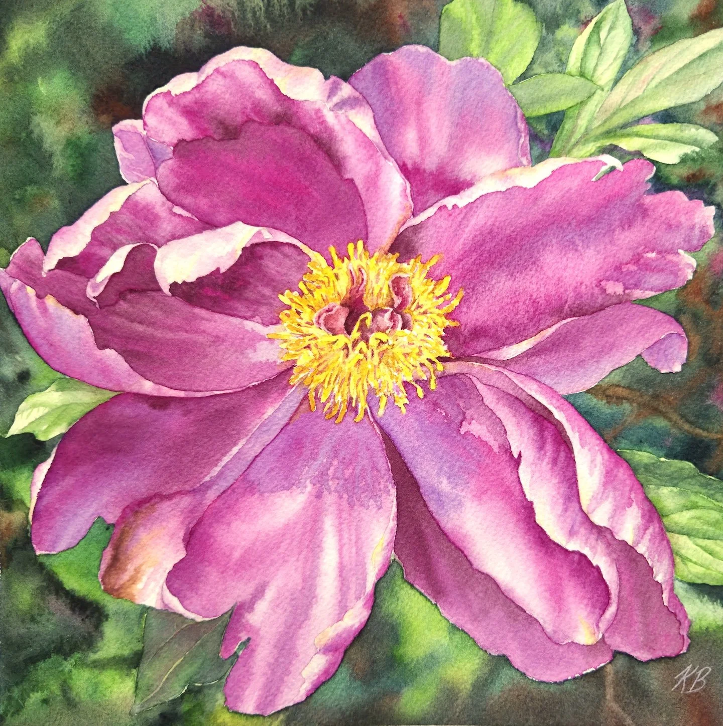    Portrait of a Peony  , 8” x 8”, transparent watercolor on paper 