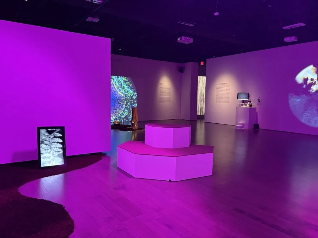 Gallery1-1024x768.jpg