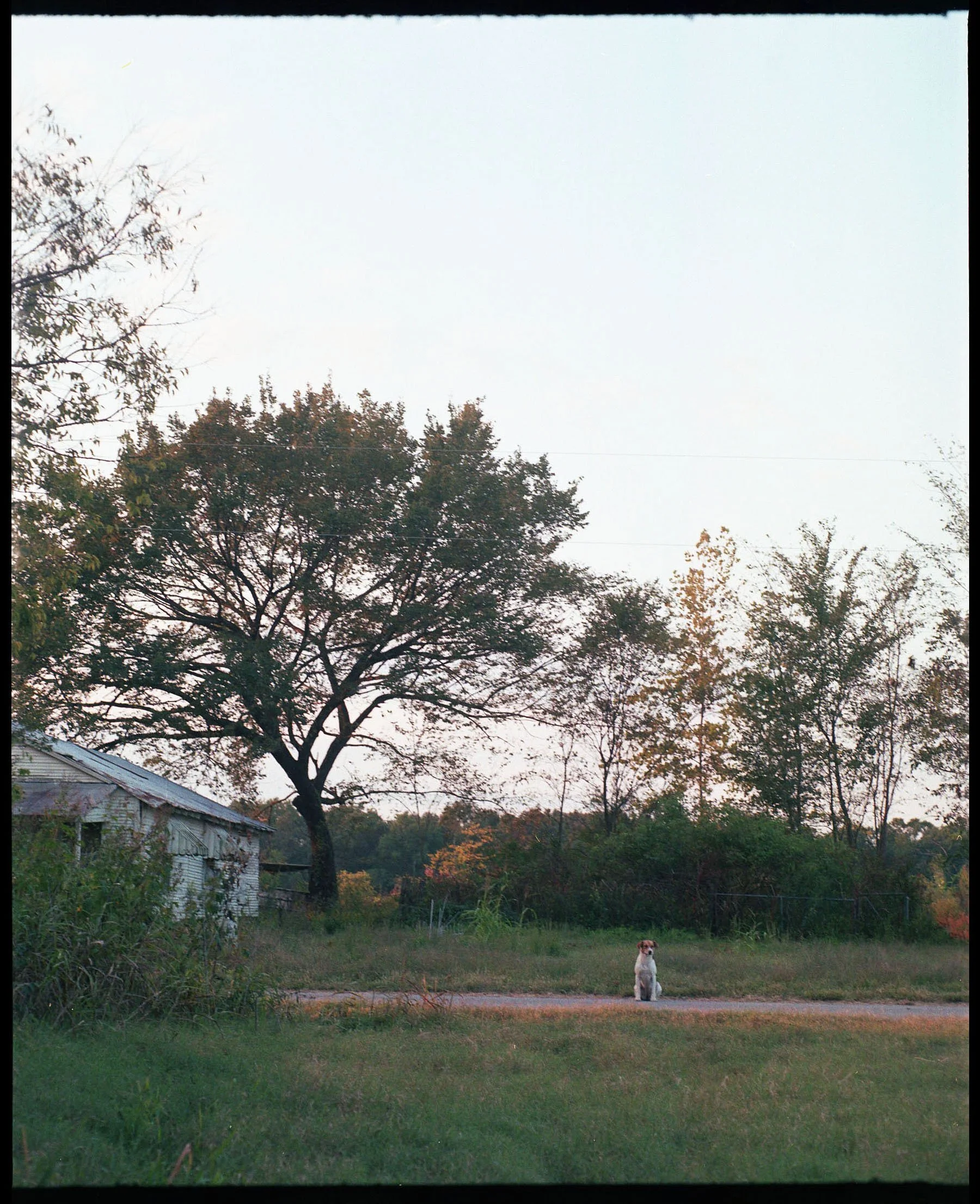    Walls, AR   