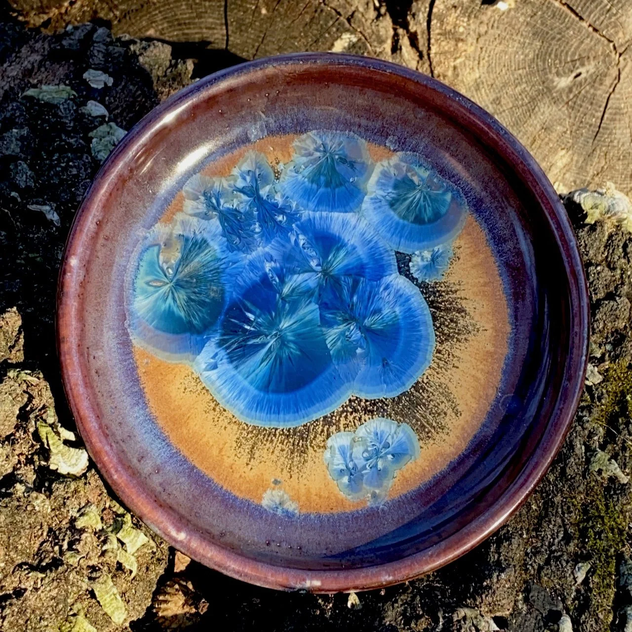  Blue &amp; Gold Plate, porcelain, 7” x 1.5” 