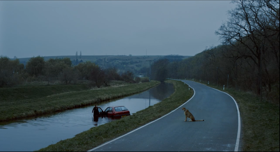 Schermafdruk 2019-12-08 13.10.25.png