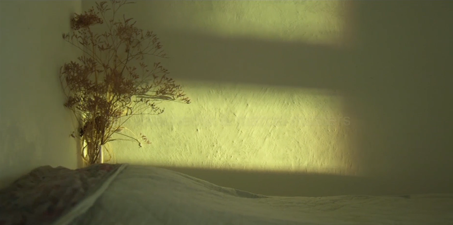 Schermafdruk 2020-01-06 23.54.45.png