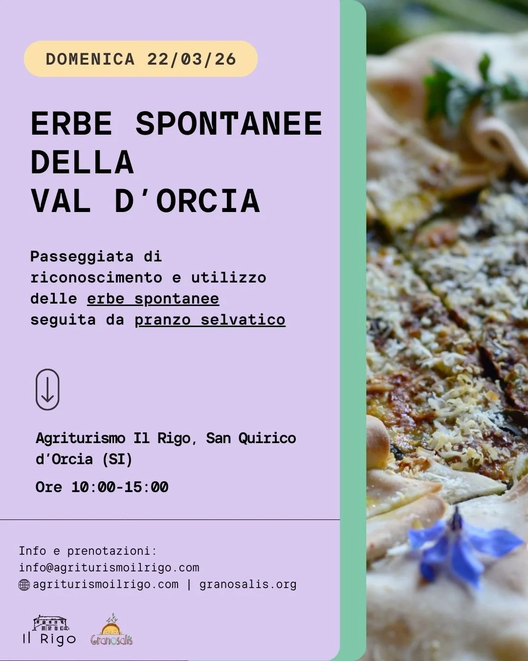 Domenica 22 marzo 2026 - Erbe di Primavera in Val d’Orcia e pranzo selvatico