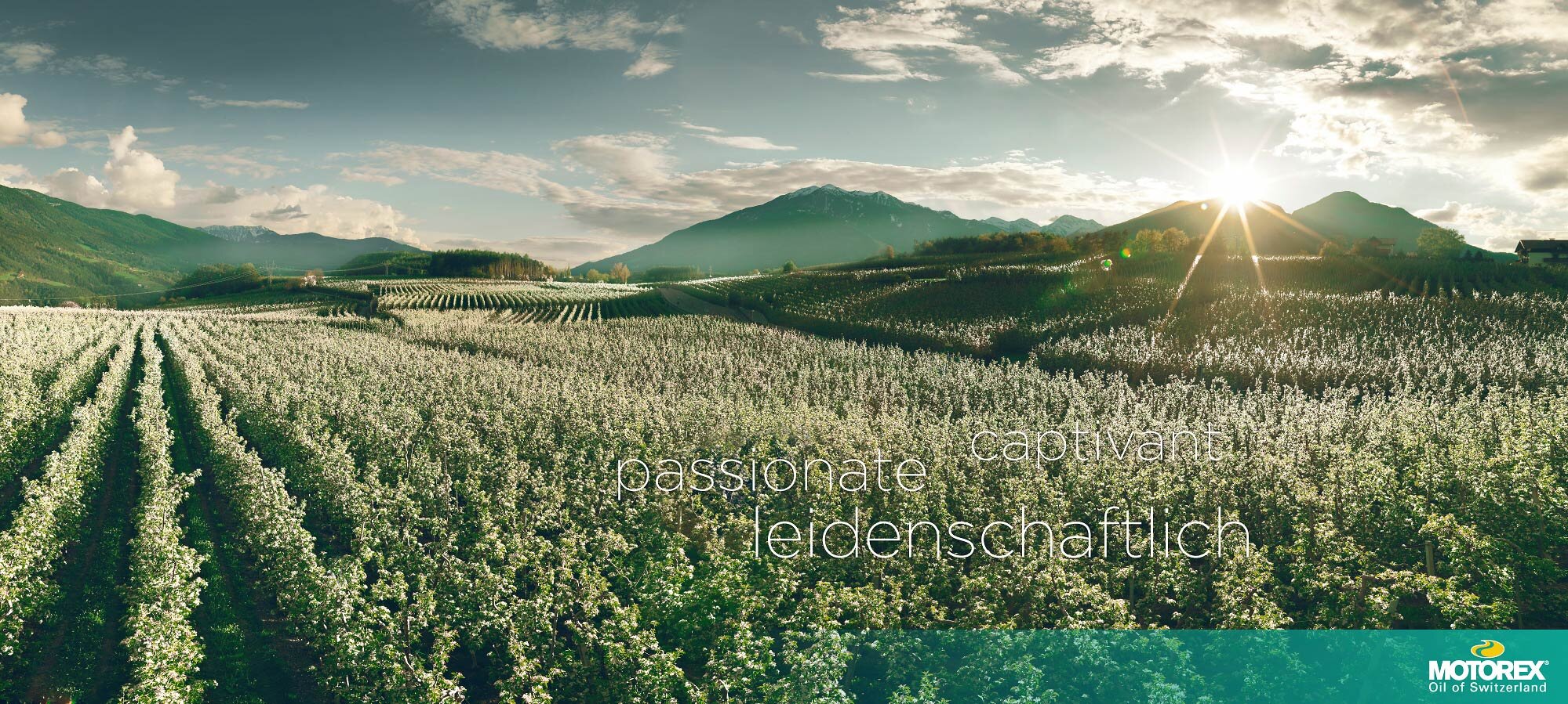 Michel_Jaussi_Photography_Schweiz_Landschaften_MOTOREX_Landscapes-5.jpg