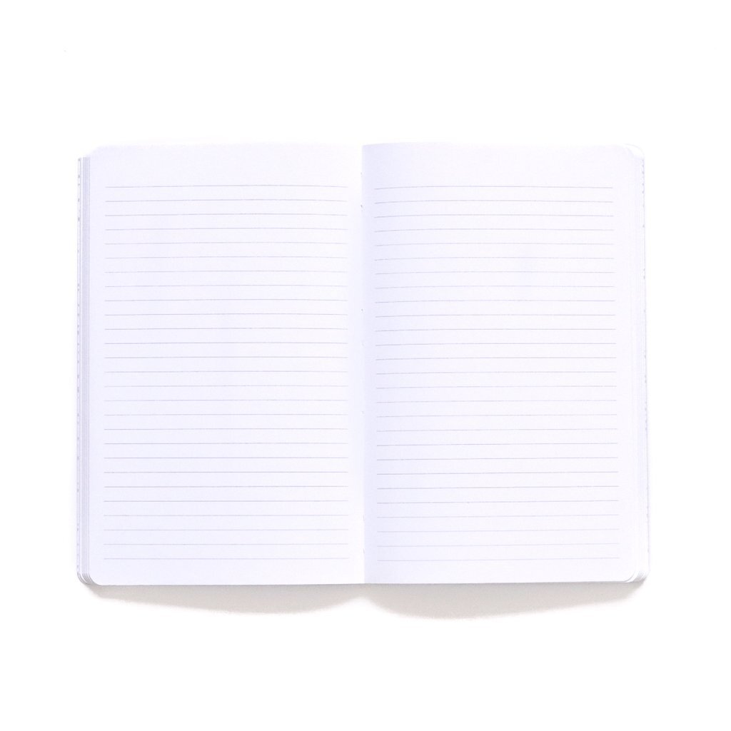 blank pages.jpg