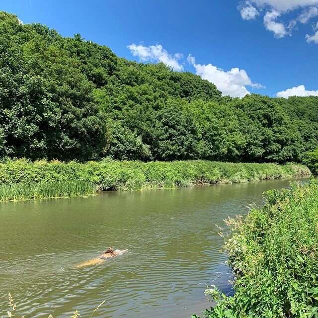 Reasons to be glad you left London: wild swim spots like this less than an hour&rsquo;s walk from your front door 🤩🤩. #loveyoubristol