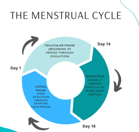 Nutrition for Female Runners &amp; Sex Differences in Athletics