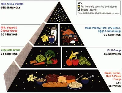 old-food-pyramid.jpg