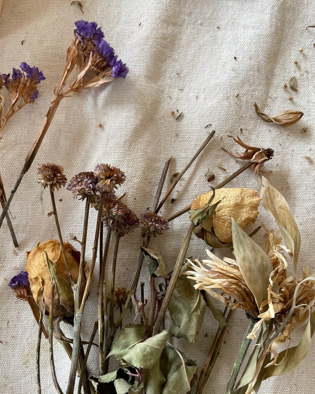 A little bit of this &amp; a little bit of that. | Playing with dried flowers and loving every second if it. ⠀⠀⠀⠀⠀⠀⠀⠀⠀
.⠀⠀⠀⠀⠀⠀⠀⠀⠀
.⠀⠀⠀⠀⠀⠀⠀⠀⠀
.⠀⠀⠀⠀⠀⠀⠀⠀⠀
.⠀⠀⠀⠀⠀⠀⠀⠀⠀
.⠀⠀⠀⠀⠀⠀⠀⠀⠀
.⠀⠀⠀⠀⠀⠀⠀⠀⠀
.⠀⠀⠀⠀⠀⠀⠀⠀⠀
.⠀⠀⠀⠀⠀⠀⠀⠀⠀
#artist #flower #flowers #driedart #flowera
