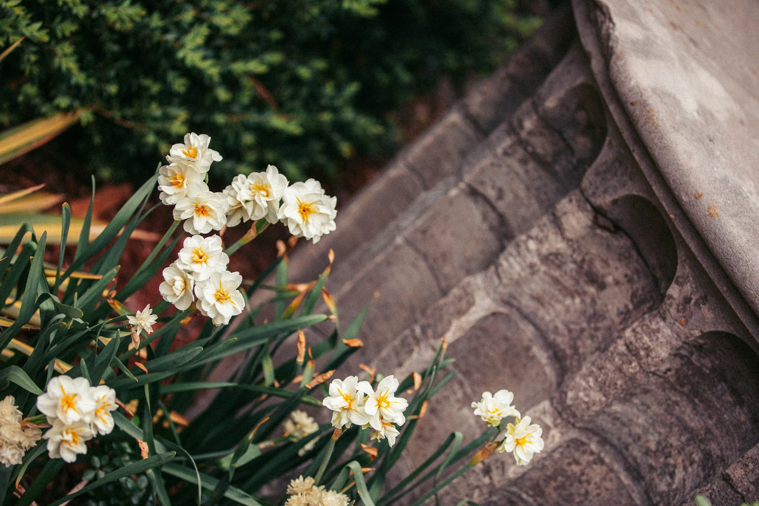 unsplash-image-EoQD1fLbU8g.jpg