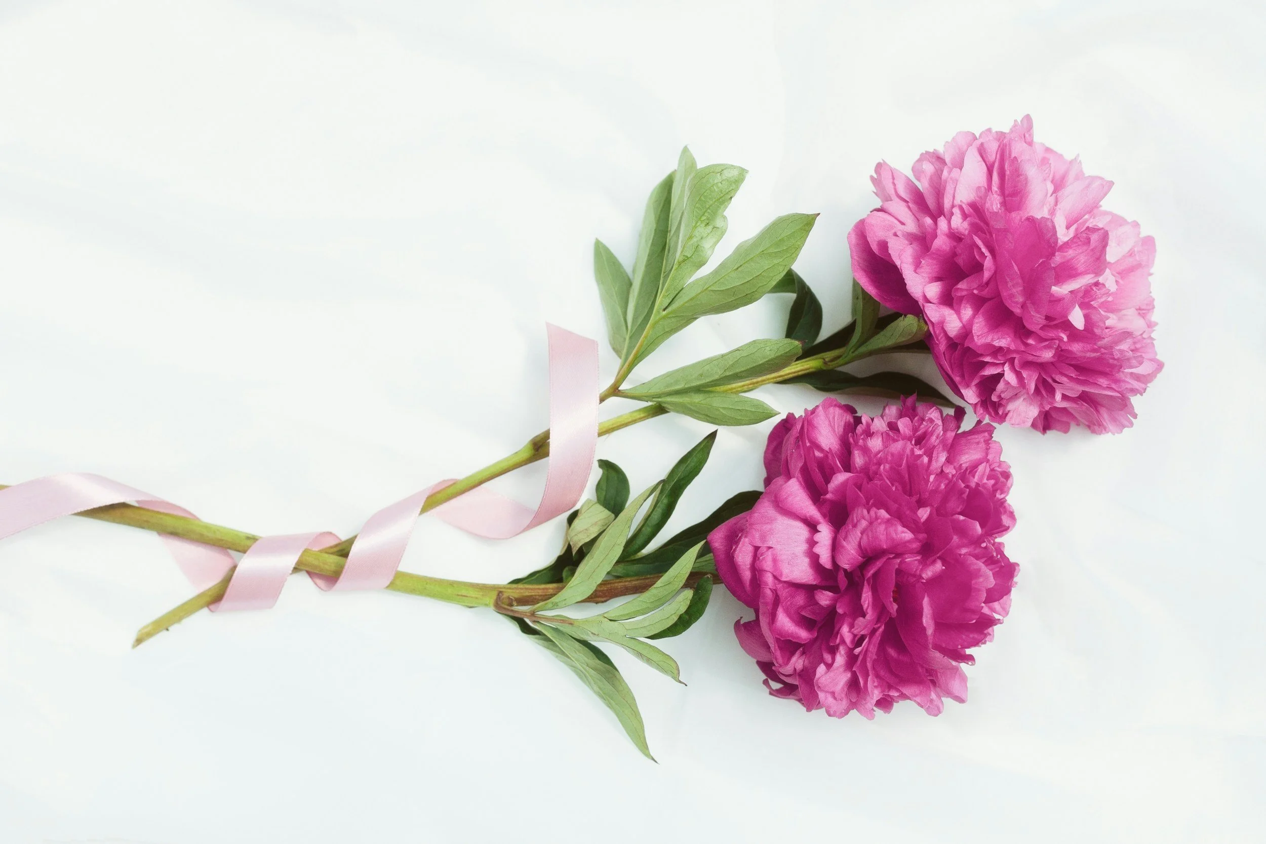 Breast and other Cancer Awareness Sunday