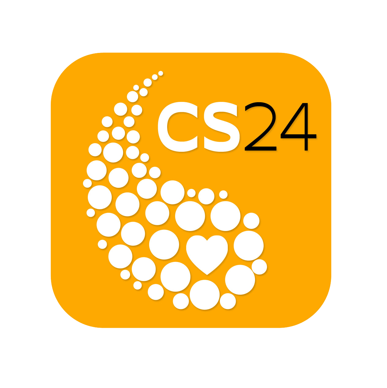 cs24.png