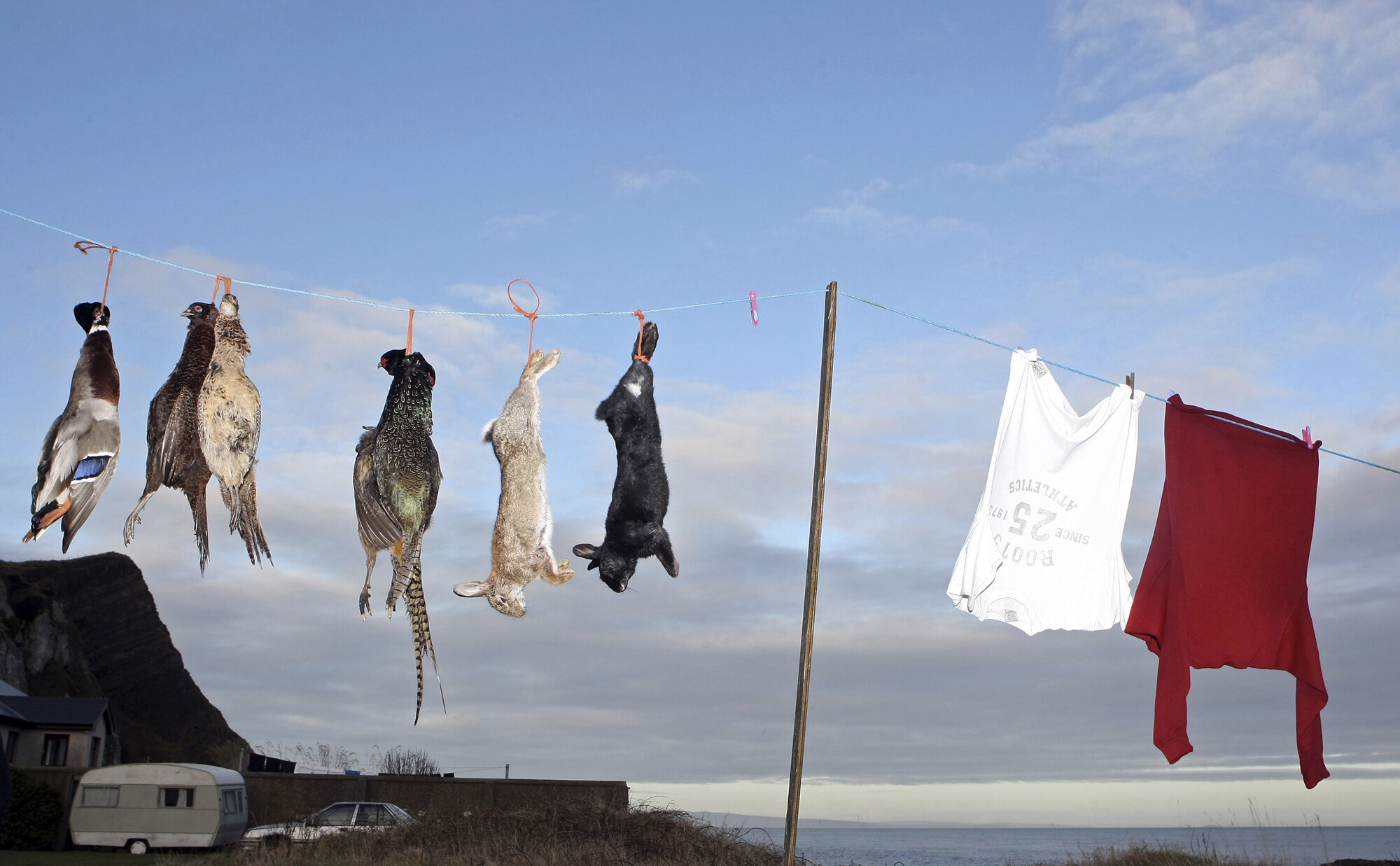 A duck, pheasants and rabbits hang from a clothes line before being plucked, skinned and frozen at Garron Point near the village of Carnlough, 2010.