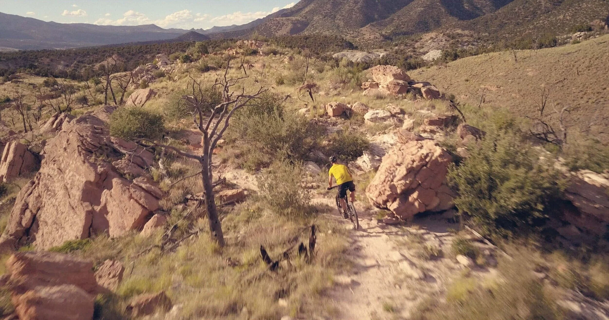 we ride mountain bikes