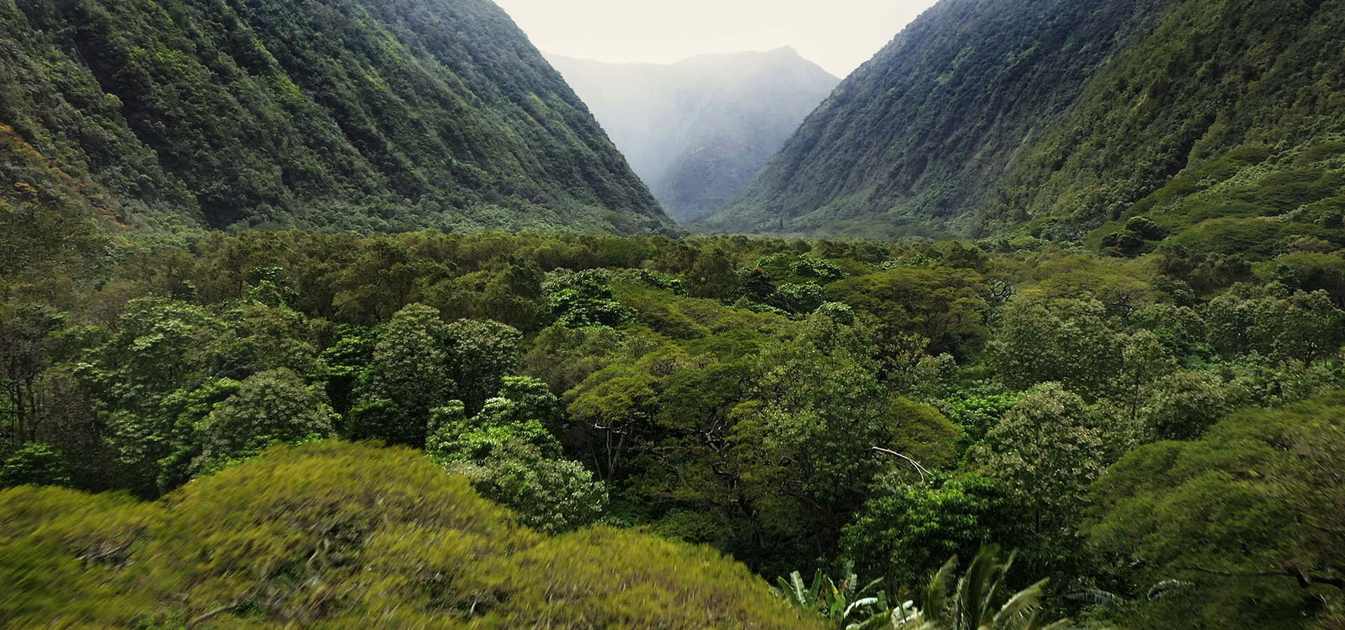 Hawaii_Banner_1920x900_0000s_0006_ROTE102__1.1.3.jpg