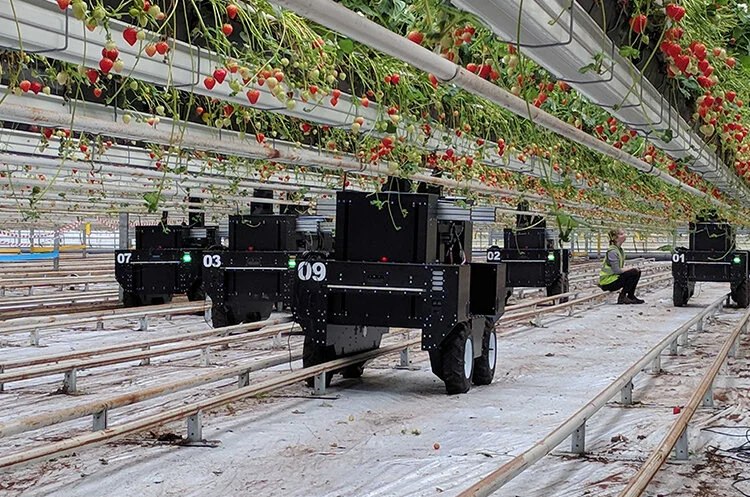 robHELPING-THE-GROWER copia.jpg