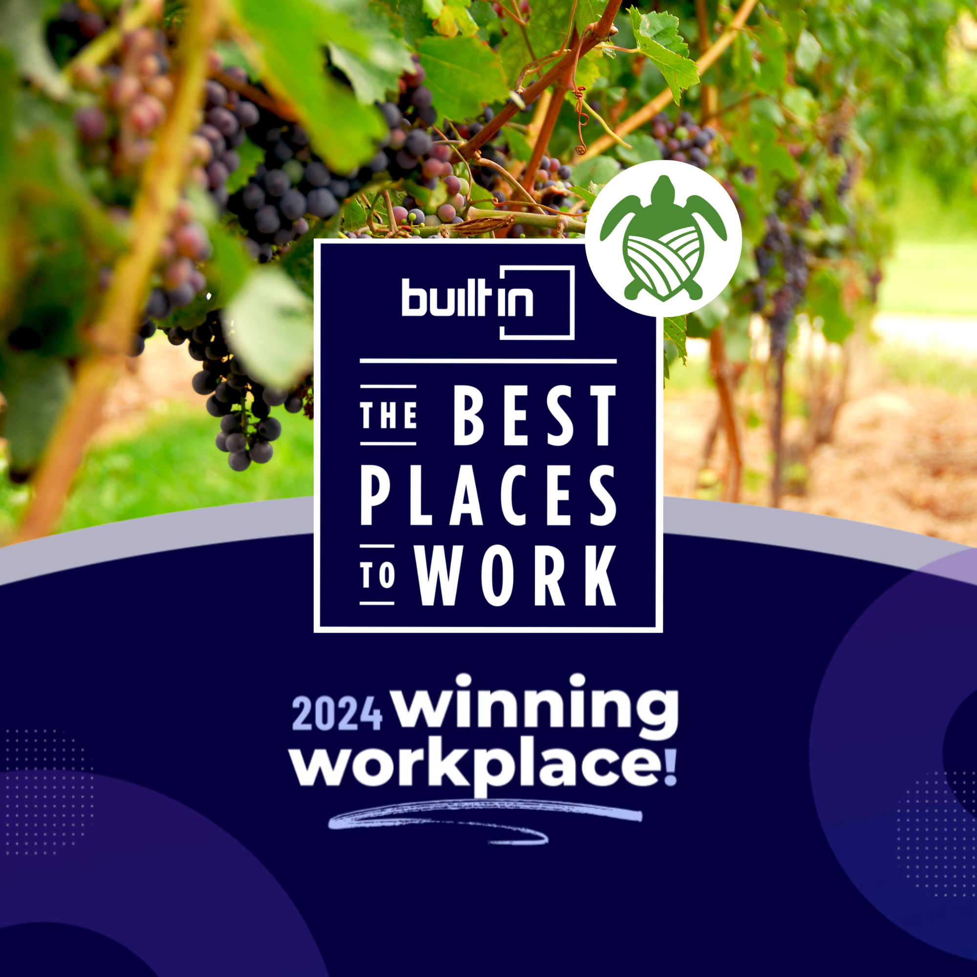 2024 BuiltIn Colorado Best Places to Work - Startups