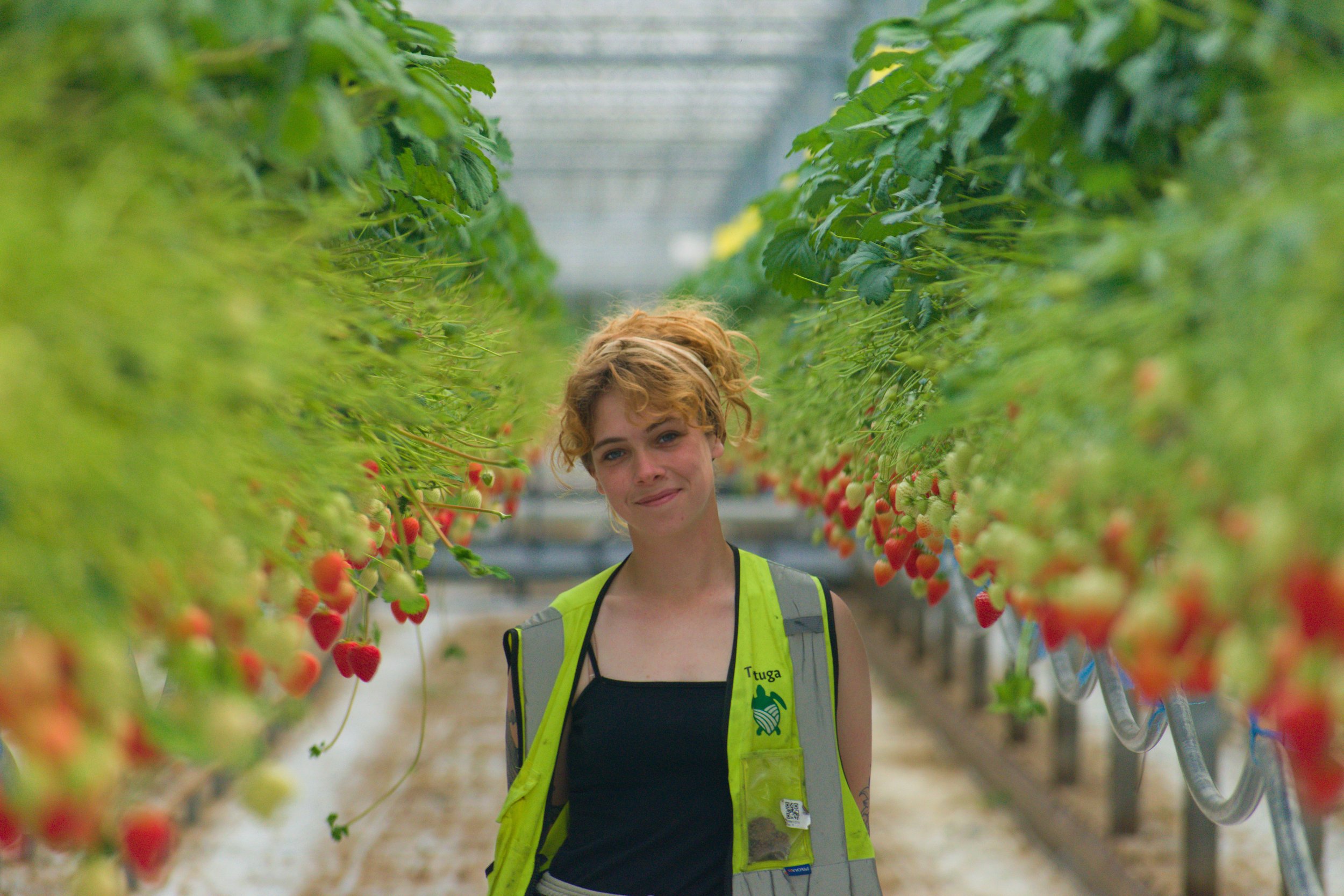 Annie Hutchins-Lander. Field Robotics Technician (UK).