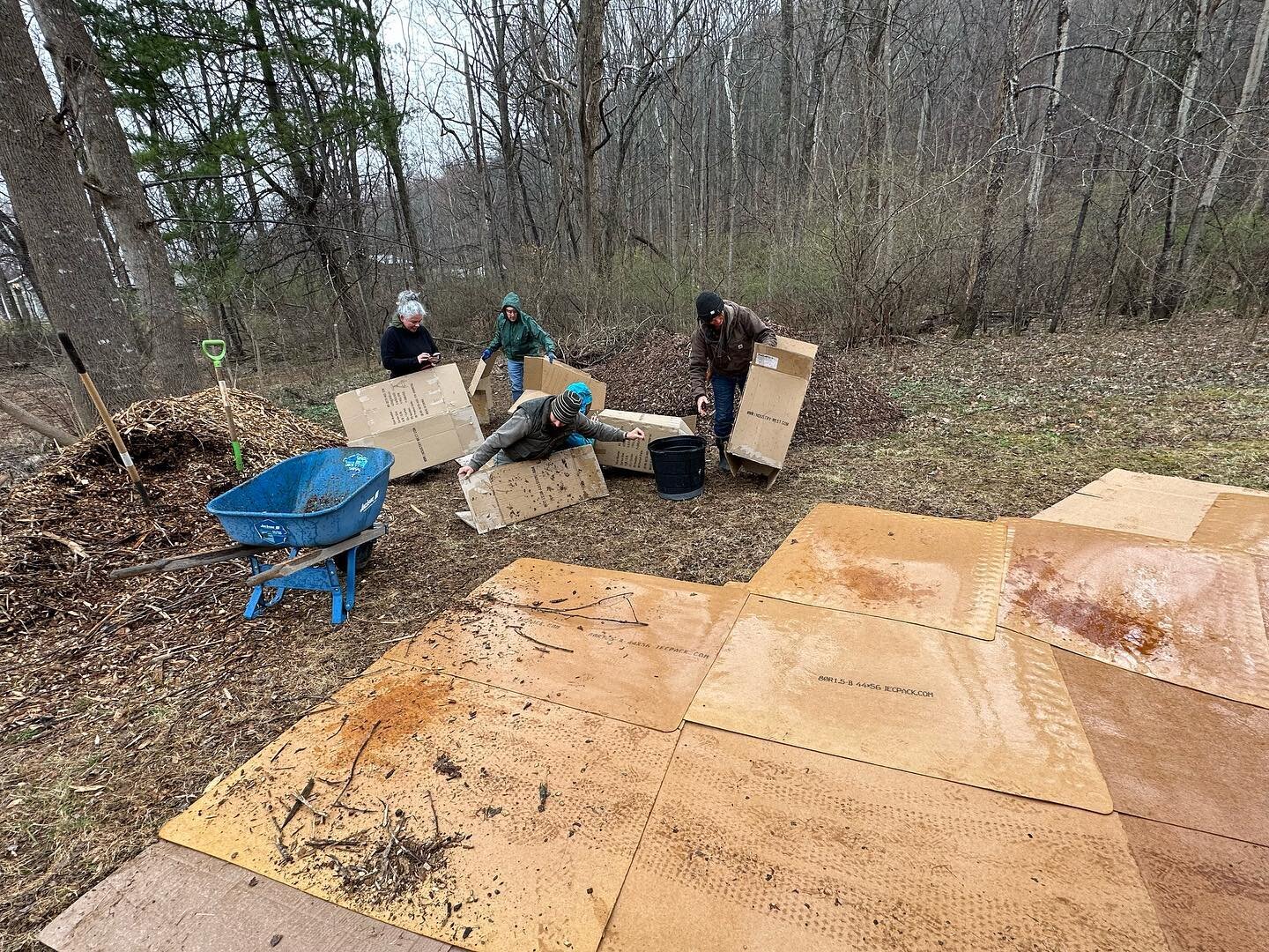 The early, pleasant spring took a day off so we worked in the chilly rain. A small but lively group sheet mulched a new propagation space, then turned over sod to create new beds on a short but steep slope. Lilia came through with a delicious hot mea