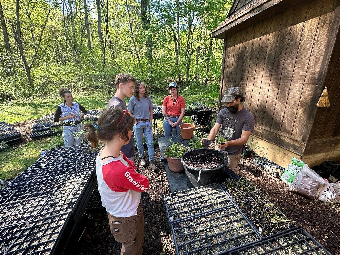 The early heat has broken for a day or two. One crew spent the morning potting up Monarda &amp; Pycnanthemum, among others. Another crew assembled shade structures to protect the propagation area we made at our last work party. Flats dry out quickly 