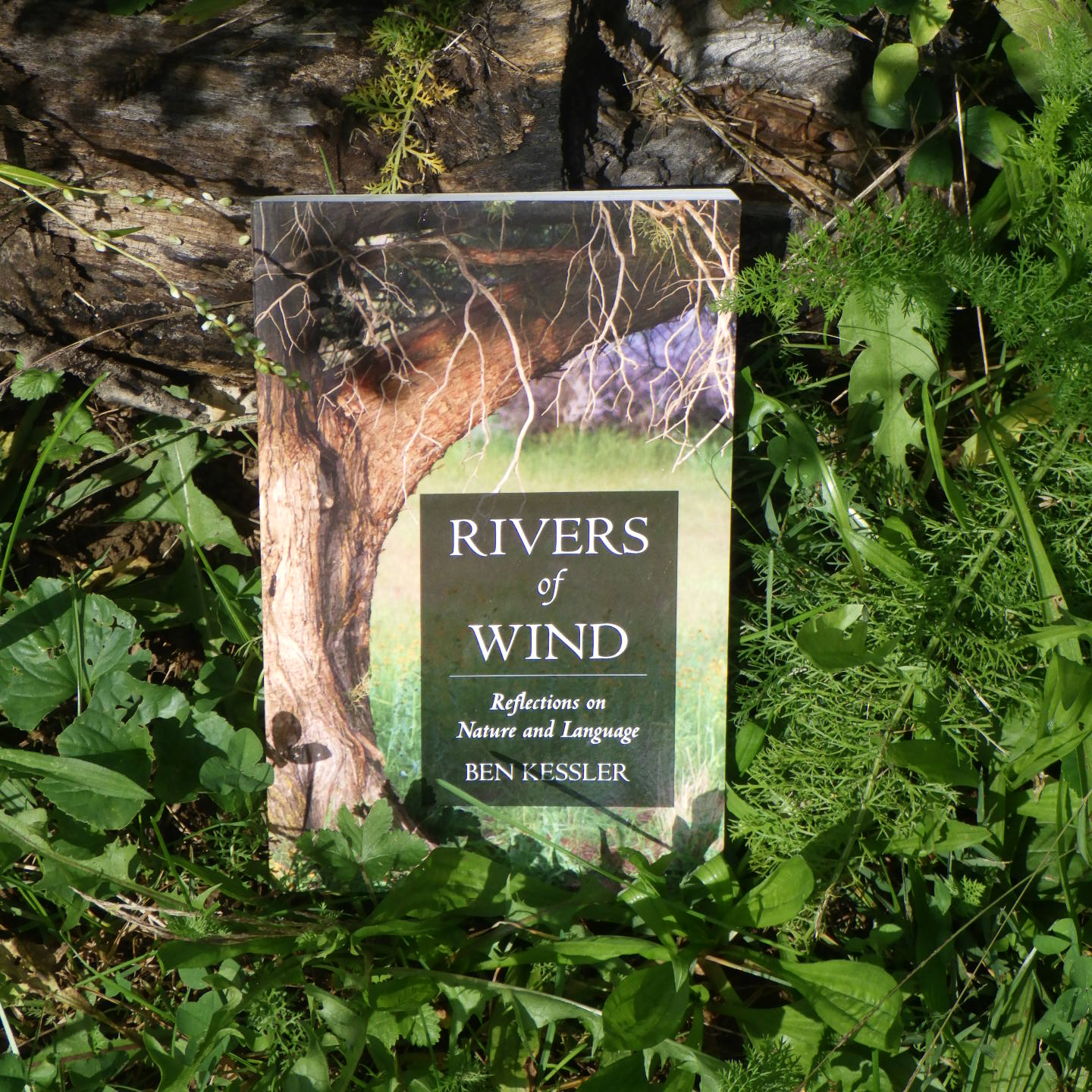 Rivers of Wind