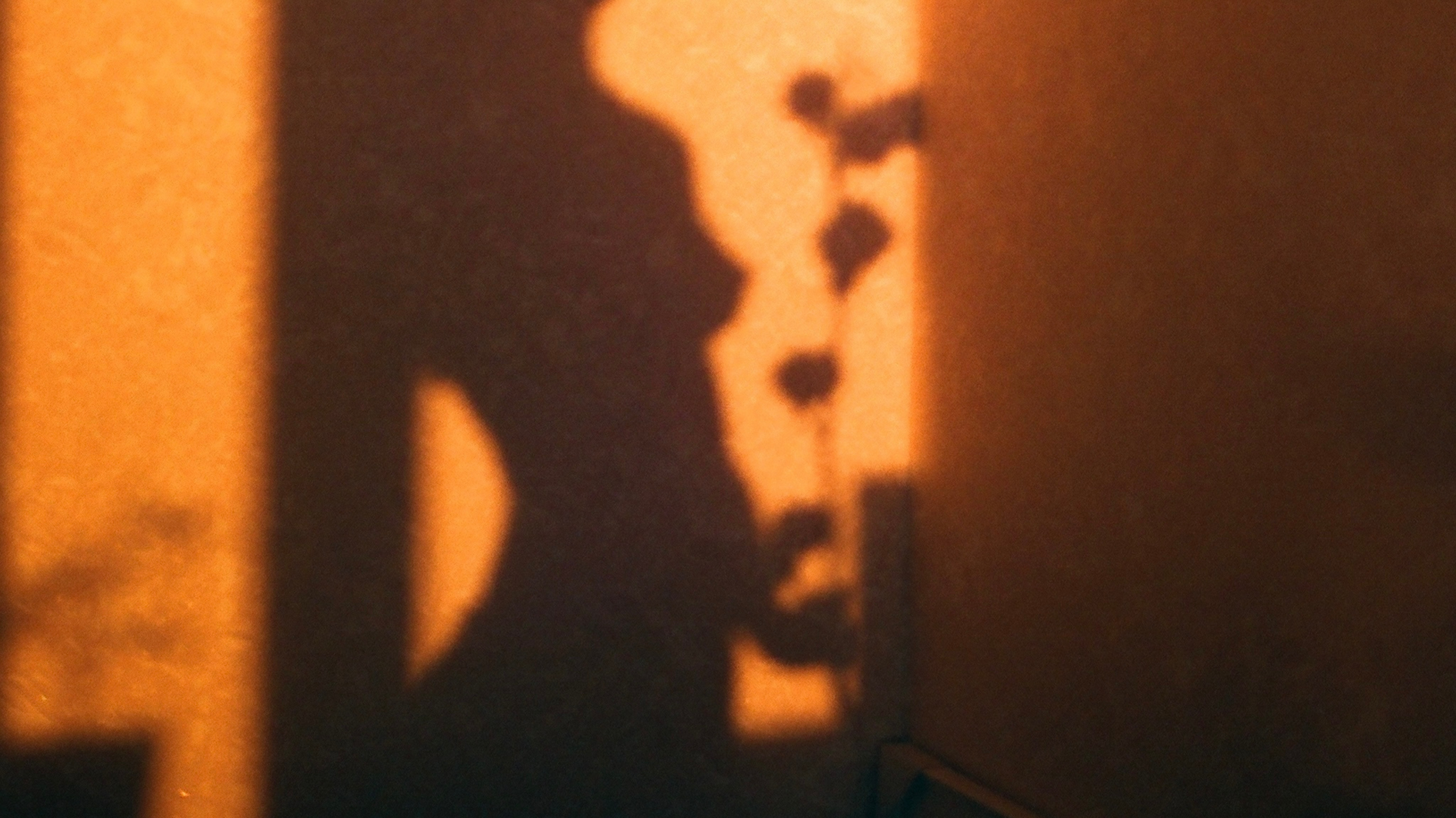 Shadow of a woman's profile projected onto a wall, illuminated by warm light