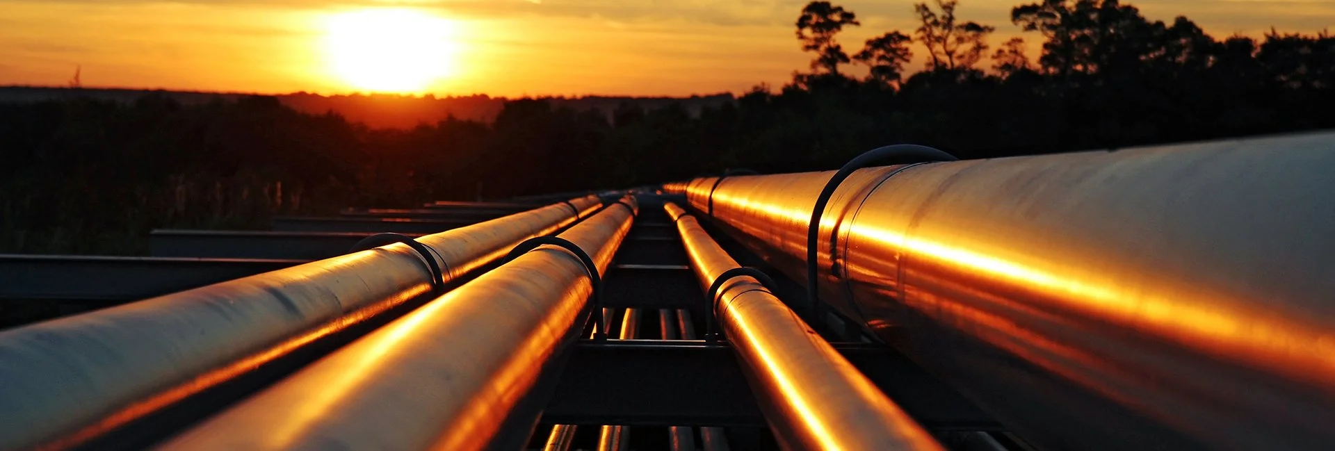 crude2_1920x649.jpg