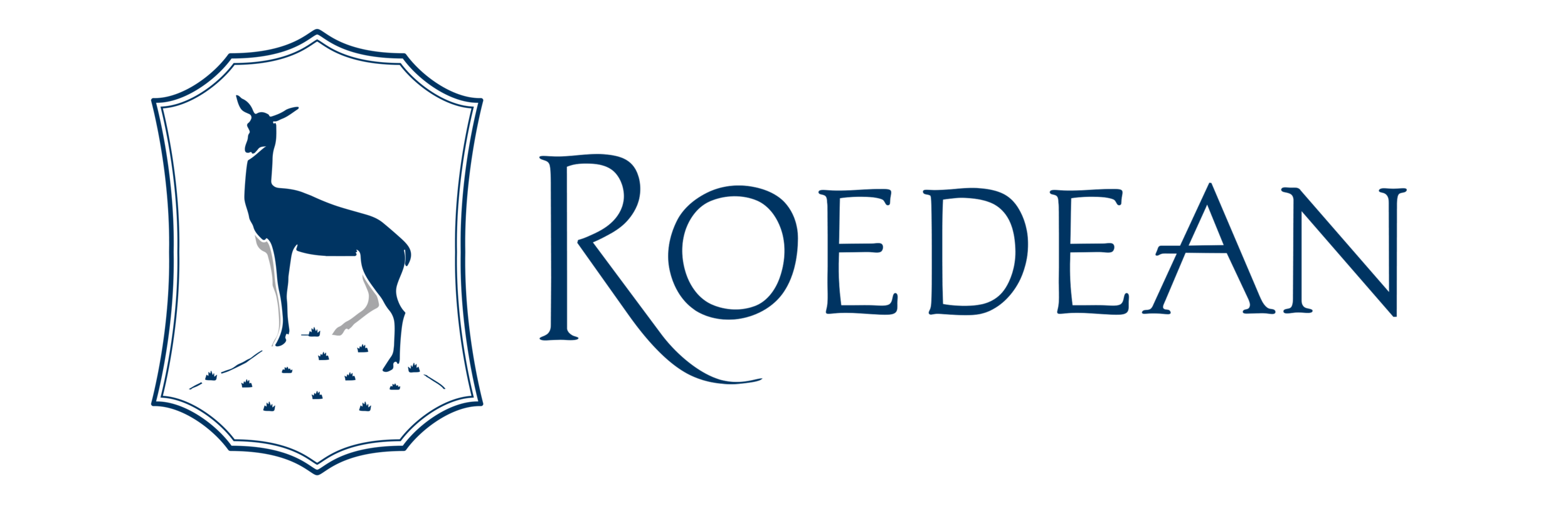 Rodean Logo landscape.png