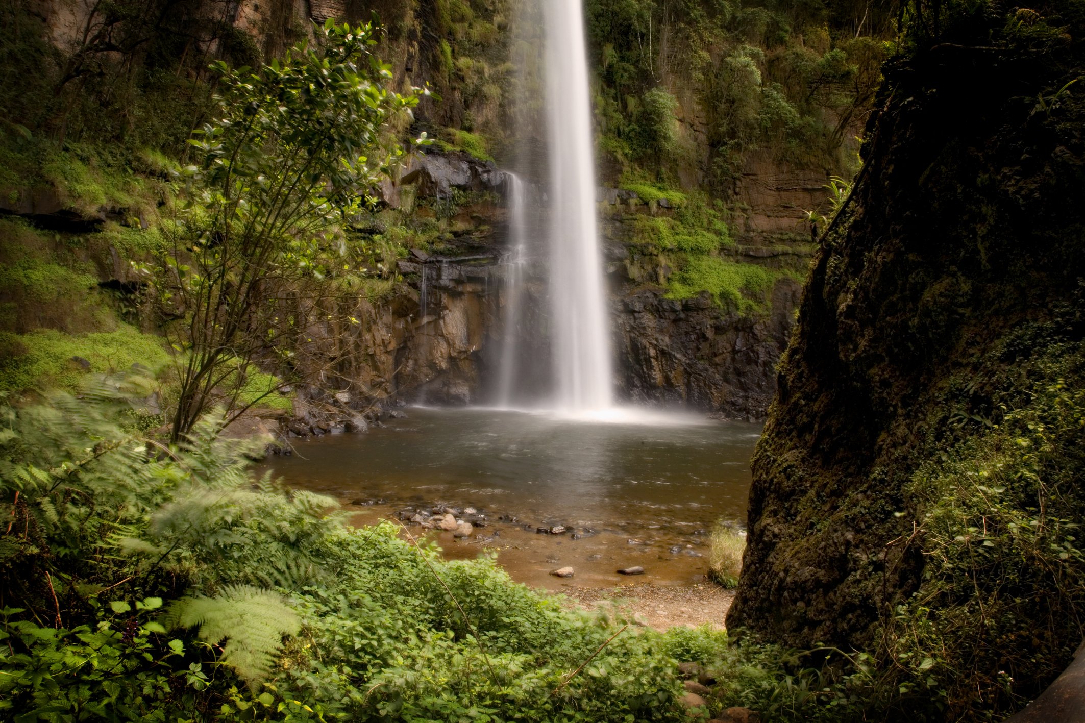 Lone CReek Falls.jpg