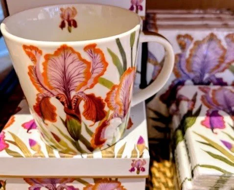 Thinking of those first spring flowers...