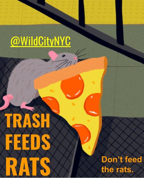 Rats Eat Garbage.jpg
