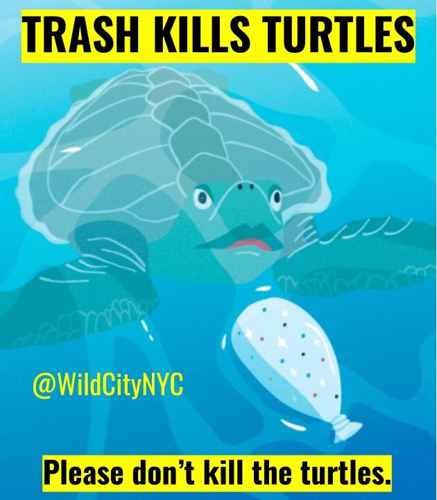 Trash Kills Turtles  (1).jpg