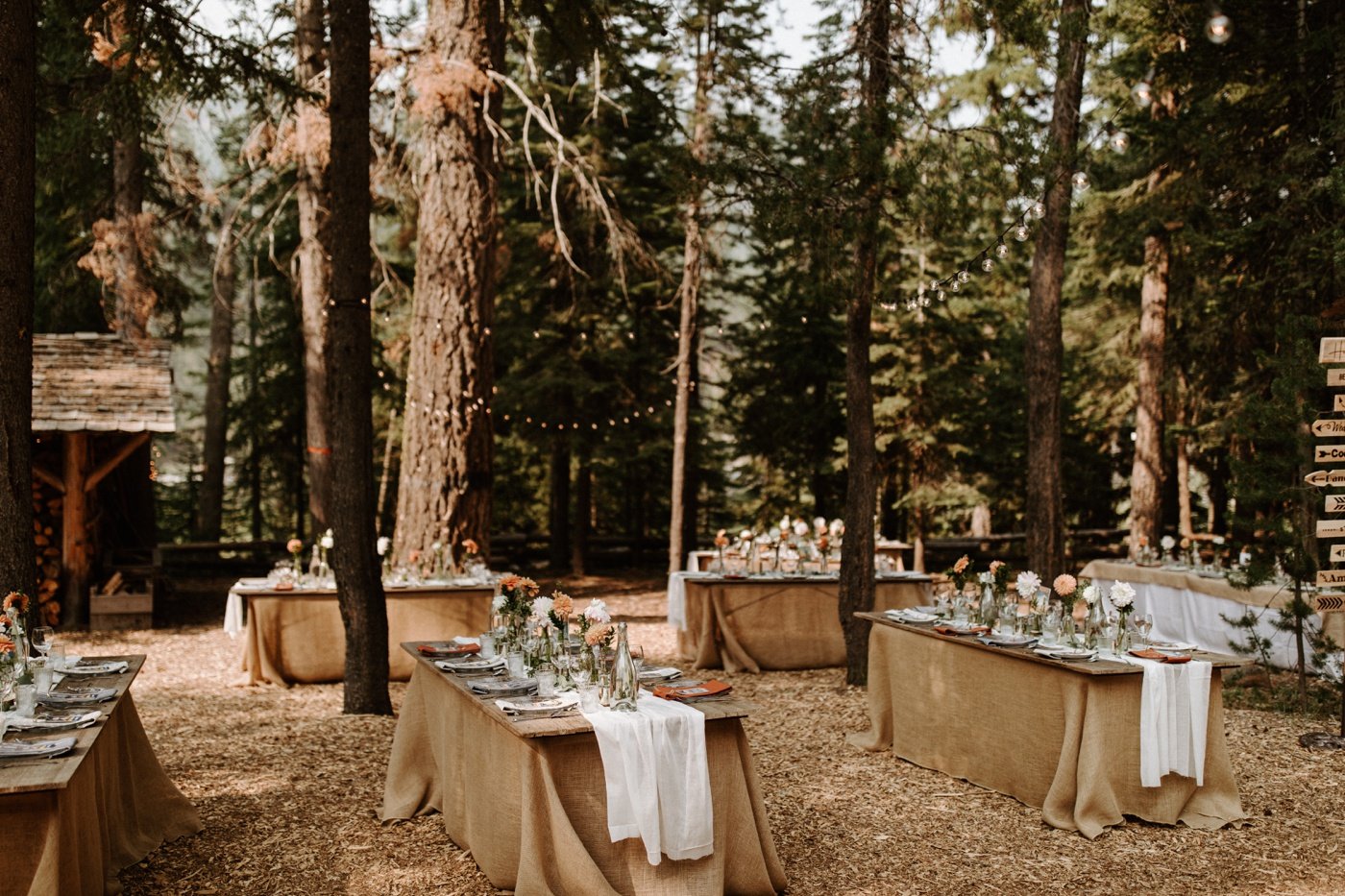 The Top 14 Forest Wedding Venues in the U.S.