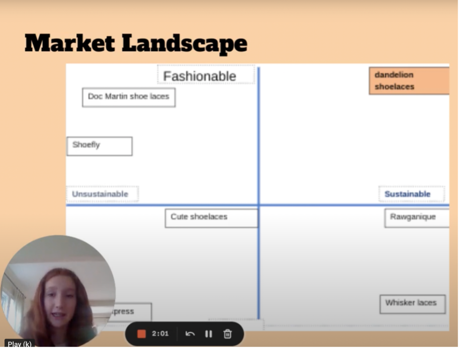  Rachel P. explains how Dandelion Showlaces compares to other shoelace brands using a brand perception map. 