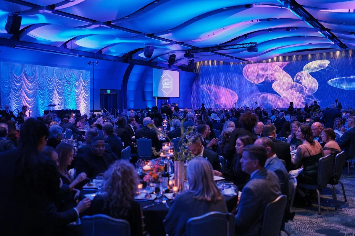 17th Annual GRACE Awards Winners Announced