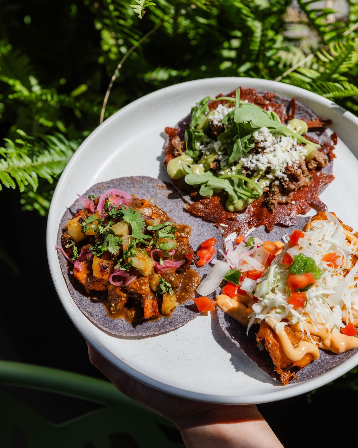Amasa Mexican Kitchen Tasting Pop-Up