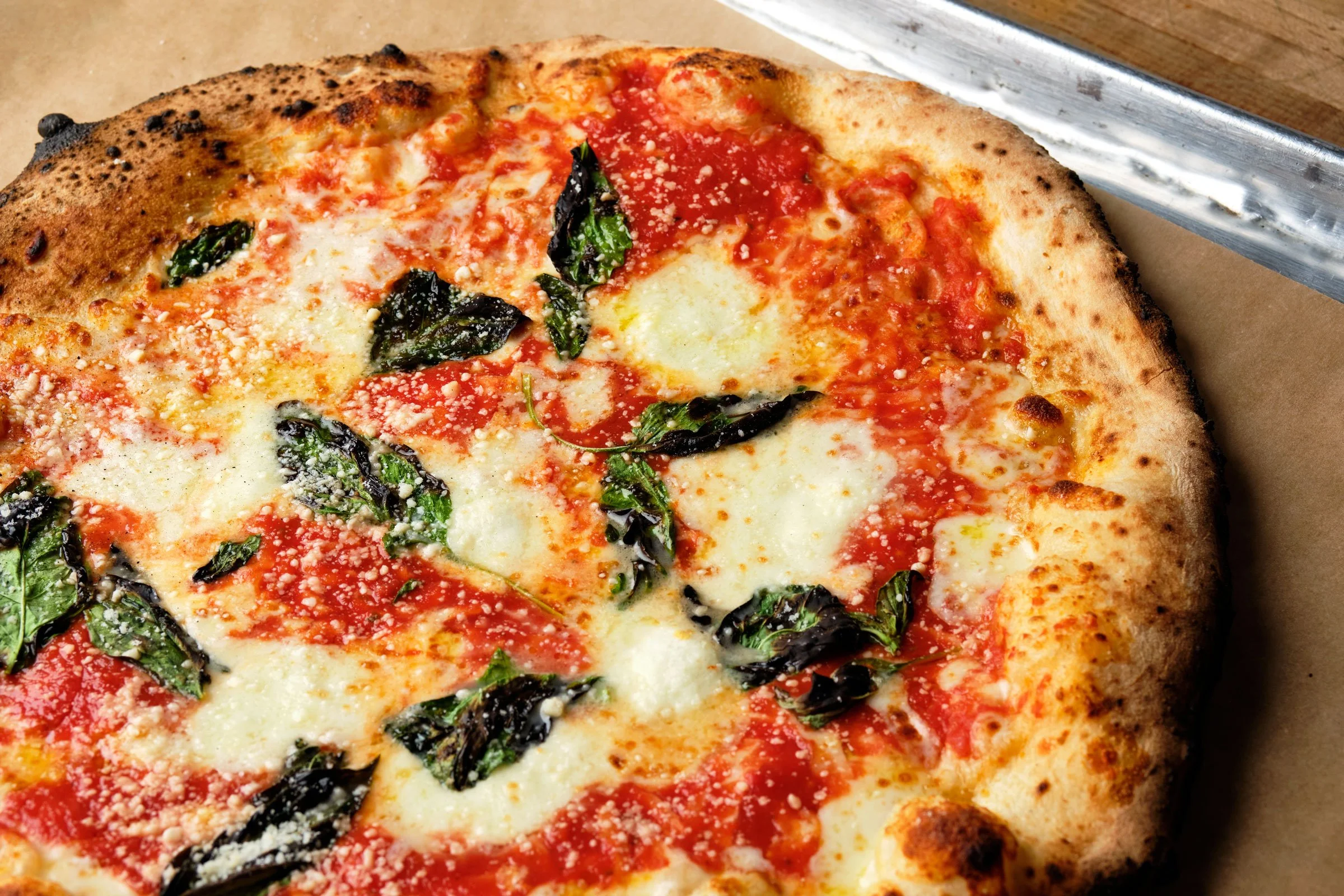 Margherita pizza from Antico. Photo credit: Brandon Amato - www.brandonjohnamato.com