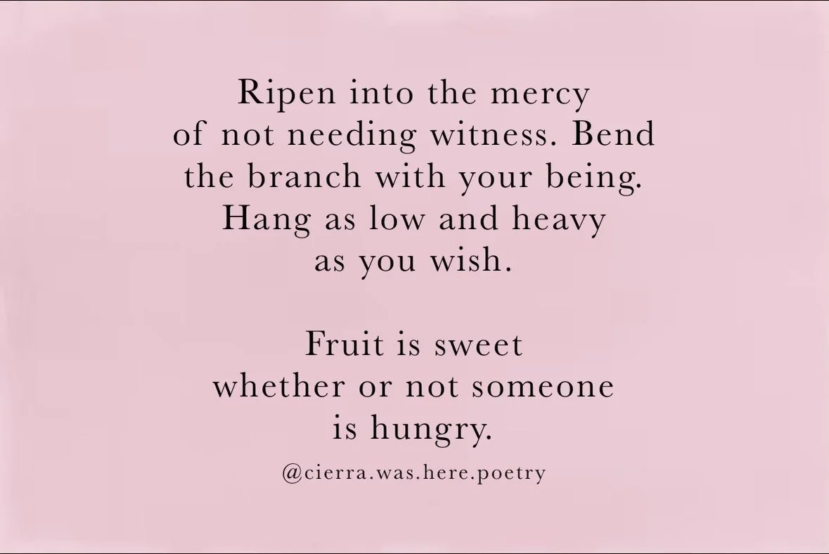 s w e e t 🍉 n o t h i n g s 

#poem #poetry #poetrycommunity #relatable #quotes