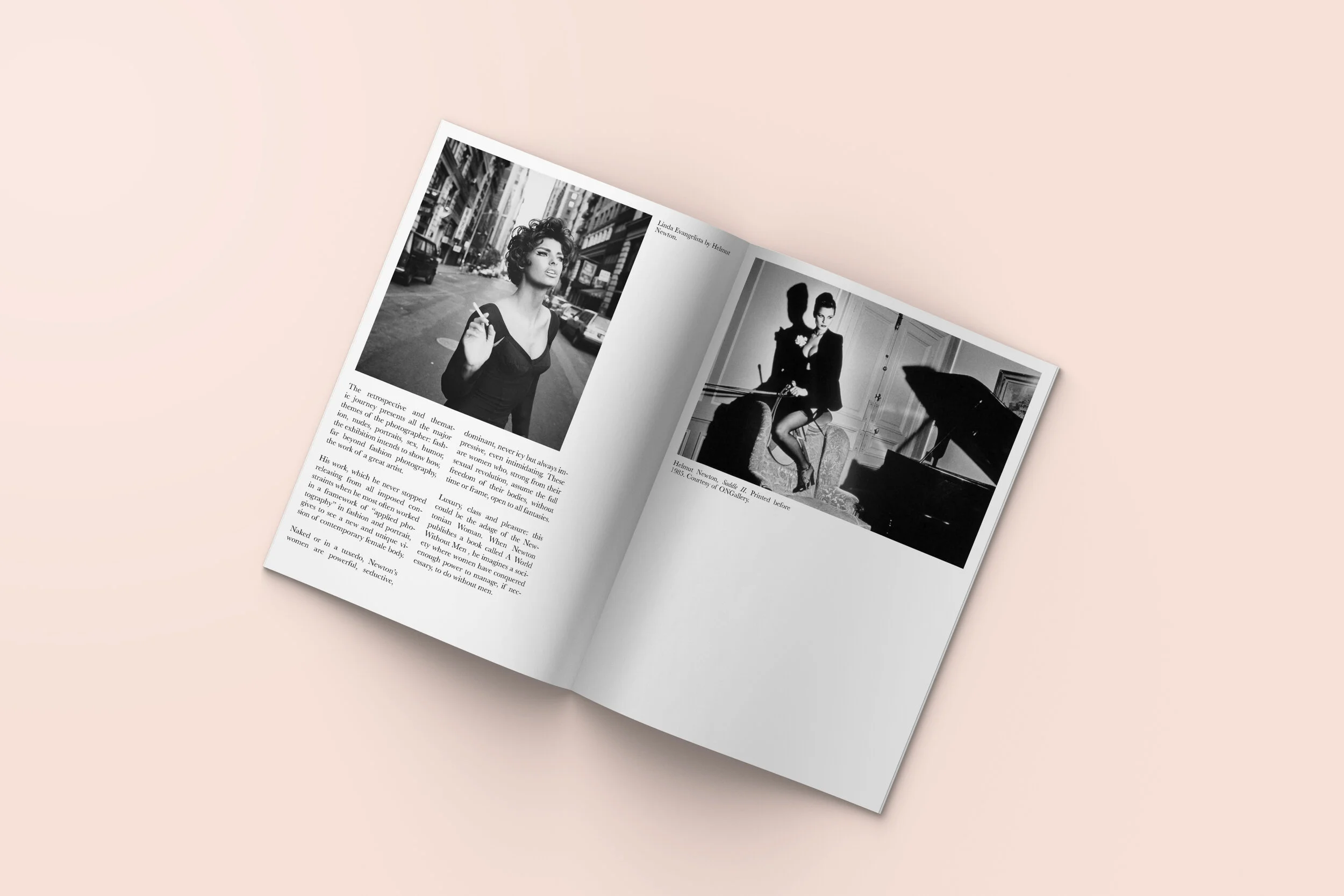 Helmut Newton Exhibition Catalog