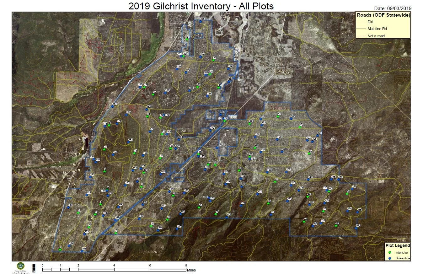 Gilchrist State Forest Inventory Project - Ortho Vicinity Map