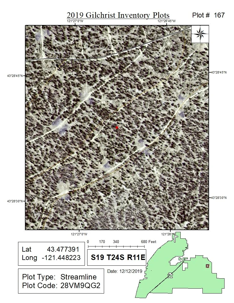 Gilchrist State Forest Inventory Project - Plot Map
