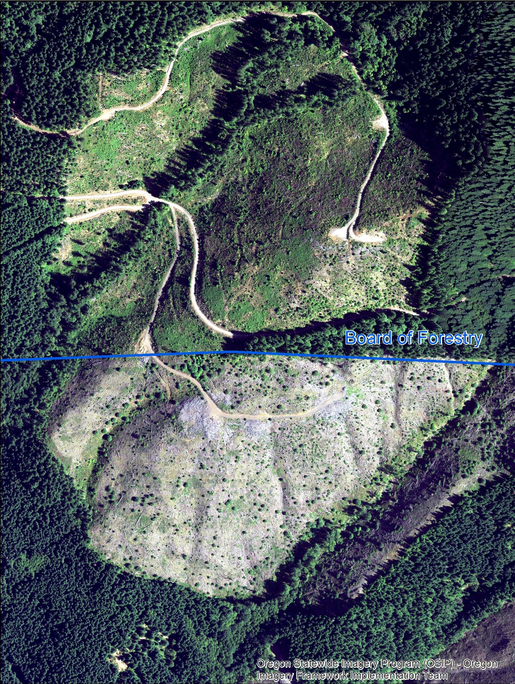 Oregon Department of Forestry Clearcut Comparison